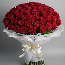 Букет 101 Красная роза Блэк Мэджик в Кавказской