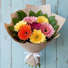 Букет цветов из:  Герберы #REPLACE_PRED# Кавказской