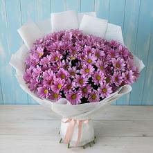 Букет цветов из:  Хризантемы в Кавказской