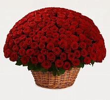 Премиум букет из: Розы в Кавказской